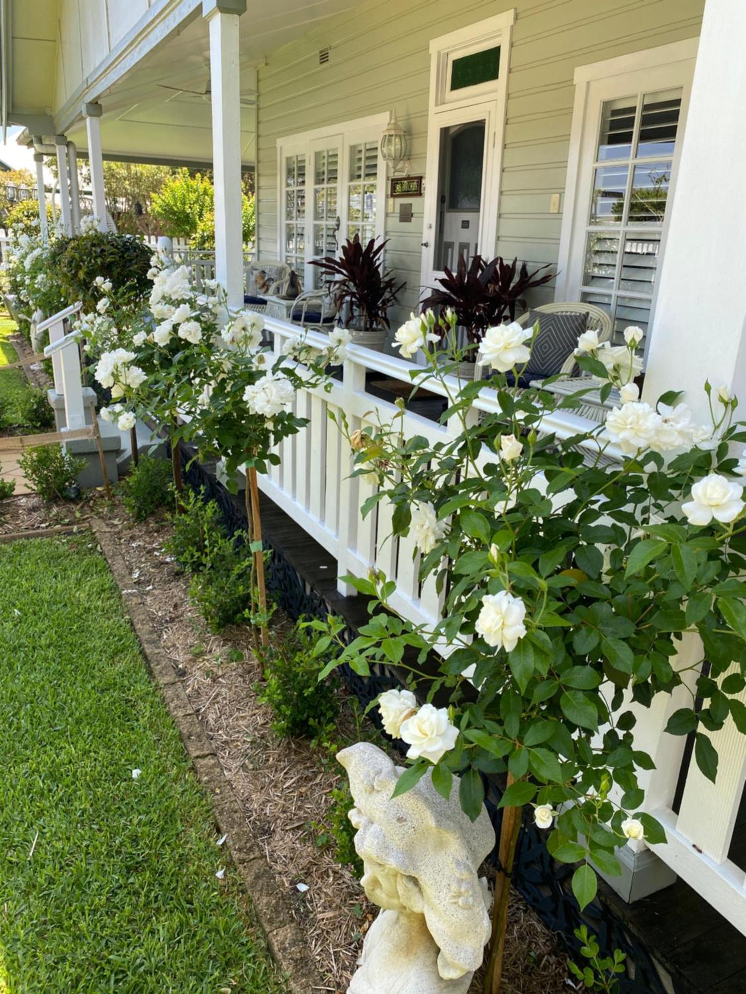 Birches B&B Тари Экстерьер фото